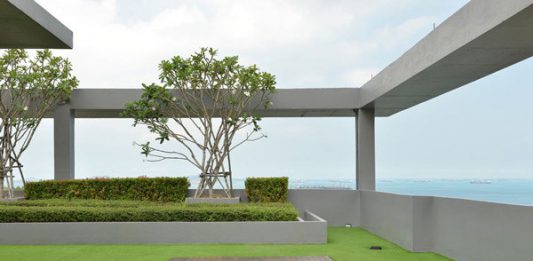 הקמת גינות גג – כל מה שחשוב לדעת