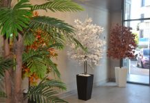 השלב האחרון לפני האכלוס – עיצוב פנים עם צמחייה מלאכותית השלב האחרון לפני האכלוס – עיצוב פנים עם צמחייה מלאכותית