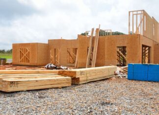 בניית בתי עץ – הבחירה הטבעית למגורים